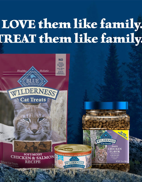 Load image into Gallery viewer, Wilderness Chicken &amp; Salmon Flavor Dry Soft Treats for Cats, Grain-Free, 2 Oz. Bag
