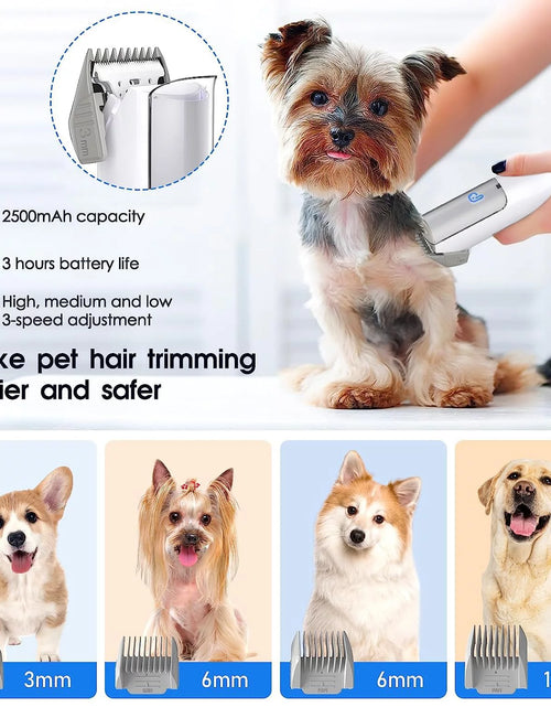 Load image into Gallery viewer, Pet Grooming Vacuum Kit, 5 In-1 Pet Grooming Vacuum Suction 99% Pet Hair for Dogs Cats, 3L Large Capacity Dust Cup, Quiet Pet Vacuum Groomer for Shedding Pet Hair, Home Cleaning
