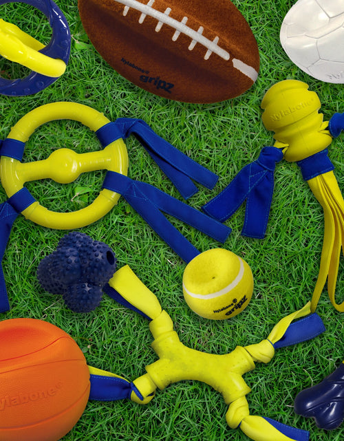 Load image into Gallery viewer, Power Play Crazy Ball Dog Toy Large/Giant - up to 50 Lbs. (1 Count)
