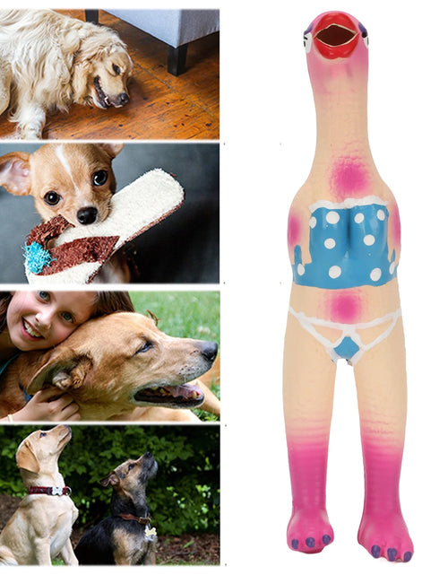 Load image into Gallery viewer, Dog Toy, Squeaky Chicken Dog Toys Elastic Safe Bite Resistant for Dogs Pirate Chicken,Ok Chicken,Chef Chicken,Flying Chicken
