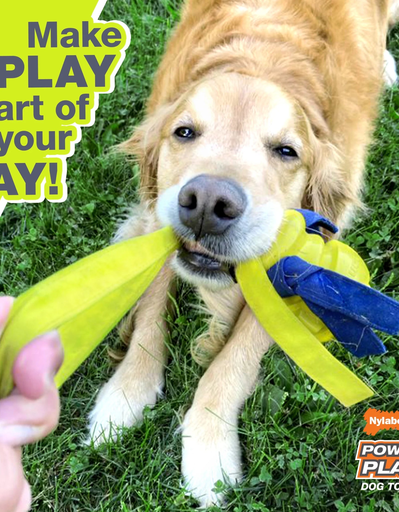 Power Play Crazy Ball Dog Toy Large/Giant - up to 50 Lbs. (1 Count)