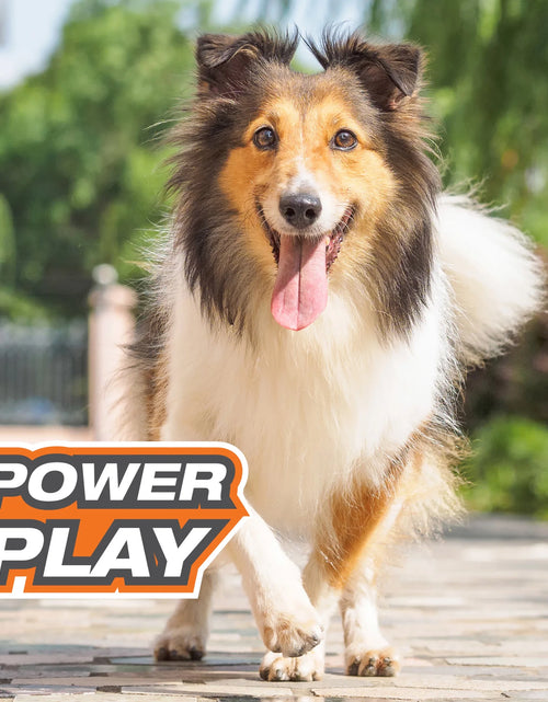 Load image into Gallery viewer, Power Play Crazy Ball Dog Toy Large/Giant - up to 50 Lbs. (1 Count)
