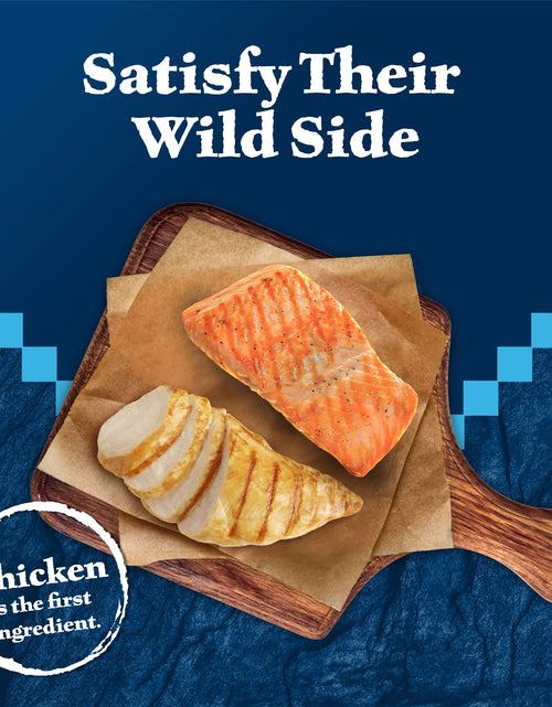 Load image into Gallery viewer, Wilderness Chicken &amp; Salmon Flavor Dry Soft Treats for Cats, Grain-Free, 2 Oz. Bag
