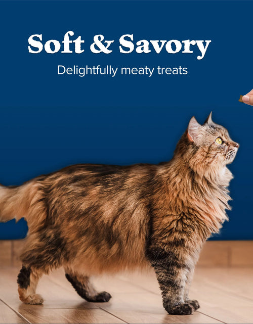Load image into Gallery viewer, Wilderness Chicken &amp; Salmon Flavor Dry Soft Treats for Cats, Grain-Free, 2 Oz. Bag
