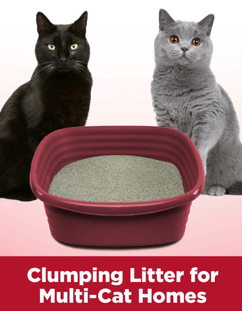 Load image into Gallery viewer, Clump &amp; Seal Cat Litter Multi-Cat Complete Odor Sealing Clay Clumping Cat Litter, 28 Lb
